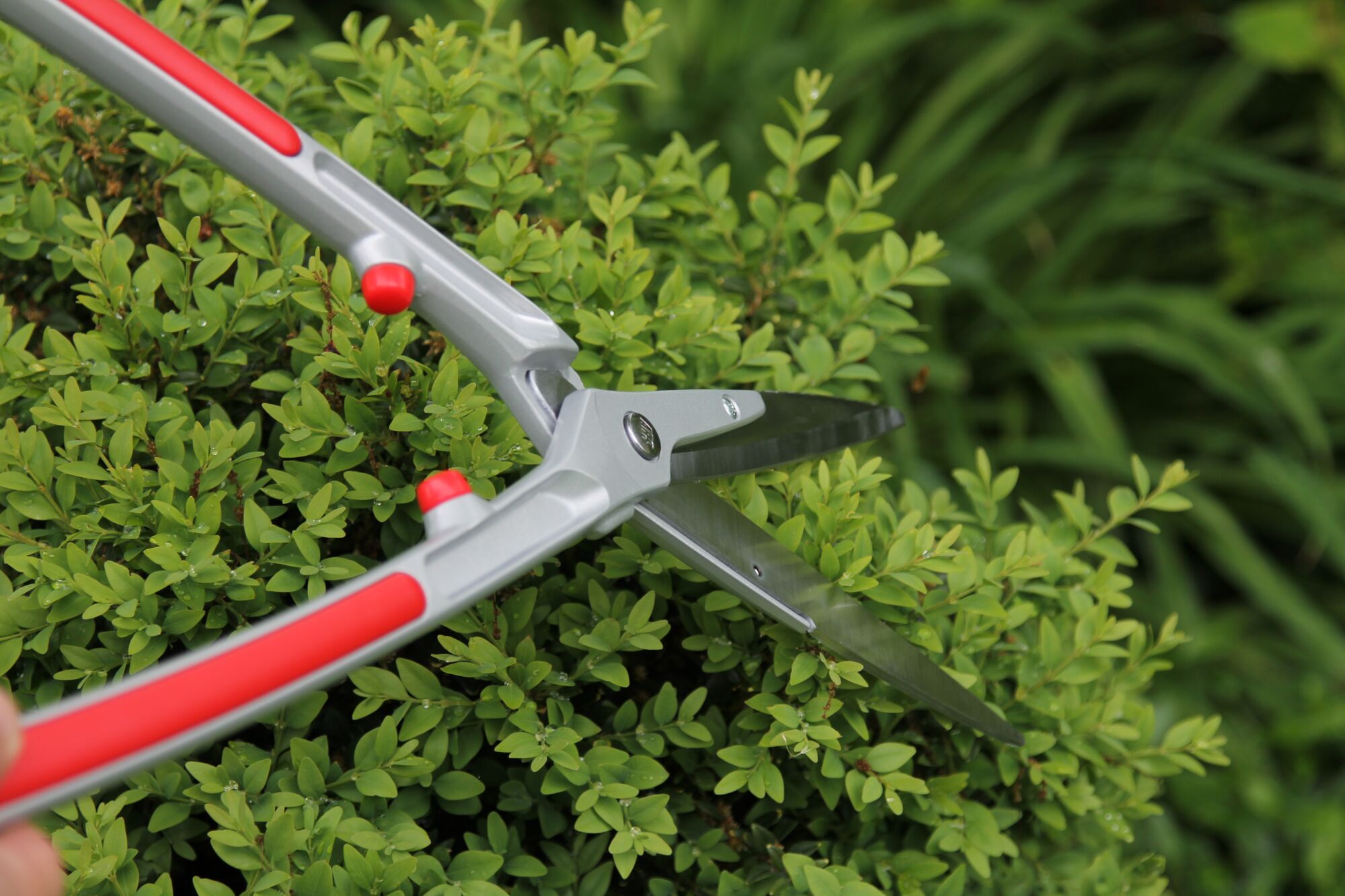 ARS Hedge shears | 650 mm | Hedge trimmers