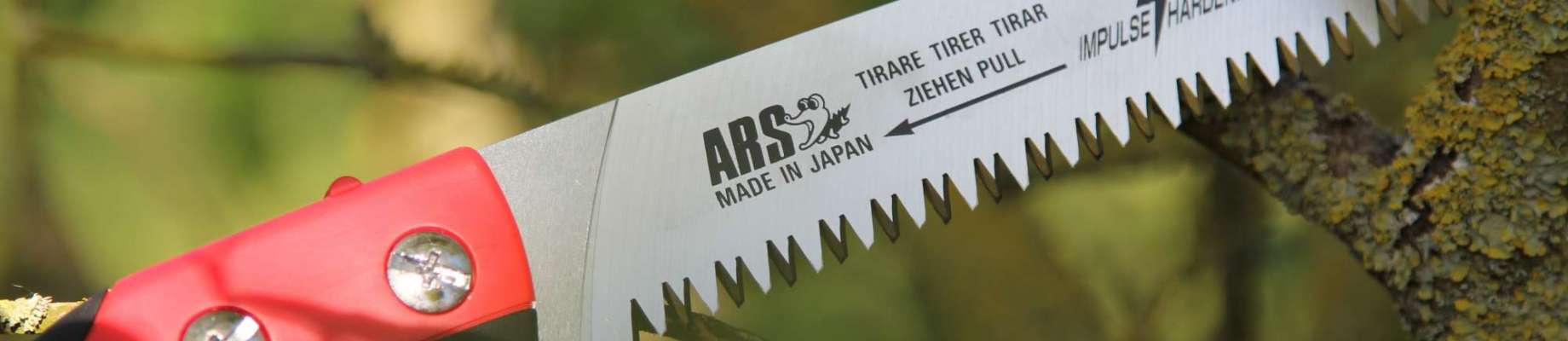 ARS Fruit Scissors- Angled Blade (320BM) - Superior Fruit Equipment